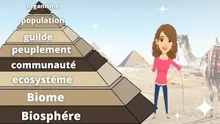 Niveaux d'organisation en écologie
