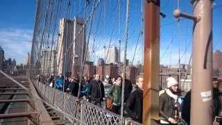 Human Chain of Freedom/ NYC 2014