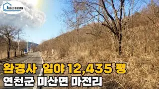 (02.03 34%) [경매 502]- 계획관리 임야 12,435평