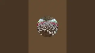 poultry former&vlogs is live
