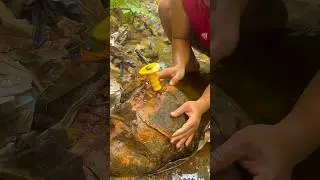 Сумасшедший,😱⚒️⚒️ кварцевый камень с толстыми золотыми прожилками #сумасшедший #кварц #камень #зо...