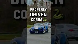 SHELBY COBRA 427 🐍 #driven