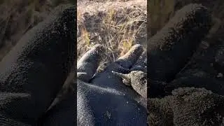 Забавный совет #очисткаокружающейсреды #металлоискатель