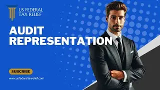 AUDIT REPRESENTATION