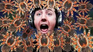 TARANTULA ISLAND!!! || Animal Crossing: New Horizons Part 11