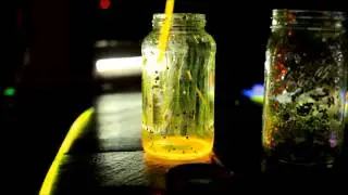 Fireflies in a Jar