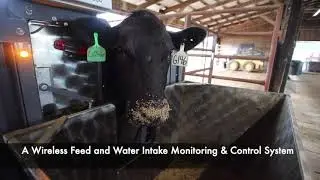 SmartFeed Pro