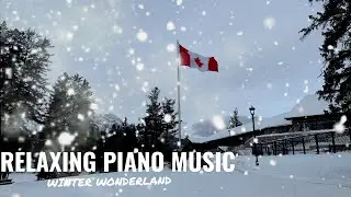 Winter Wonderland with Relaxing Piano Music l Alberta Canada