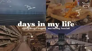 🌿 Cozy Vlog &mdash; Bacau, Drives, Malls, Metro, Shopping, Stainless-Steel Pan, Taco Bell & Jean-Hunting