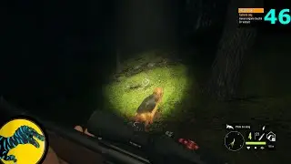 Hunter : Call Of The Wild : Alerter les animaux &agrave; Ritterstein