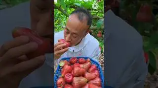 unique apple 🍎😱#fruit#satisfying#shorts#viral