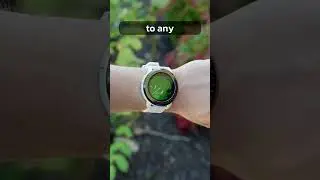 Bushnell Ion Elite Golf GPS Watch