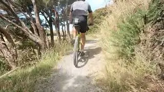 The run-out on the Remutaka Railtrail, January 2026