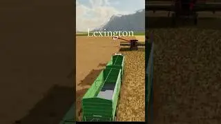 Rypsipellolla #fs22 #rypsi #oil #farmingsimulator22