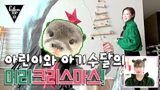 [#팔로우미 12] 9회 오마이걸 숙소에 찾아 온 아기 수달(?)과 크리스마스! (ft.아린)
