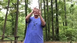 I Speak Jesus by Charity Gayle (ASL Version)