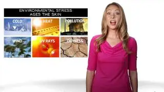 Dermarose: Natural Anti-Aging Innovation