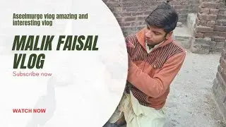 Malik faisal vlog interesting and amazing vlog 