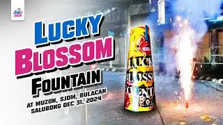 LUCKY BLOSSOM FOUNTAIN #fireworks #firecracker #fountain #pyro #diwali #happynewyear