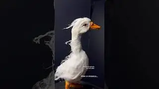 Making a spun cotton goose - Handmade Creatures #fantasyworld #spuncotton #cottontoys #handmadecraft