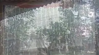Amazing! This is the most realistic heavy rain sound on YouTube, great sleep therapy 🌧️.