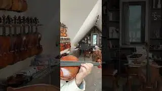 Fine Violin CR7014 --Strad 1716  #violin #violinmaker #violinplayer #music #fiddlover #violinist