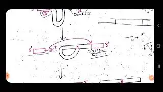 Self Splicing Introns