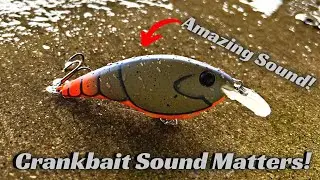 Is A Clickin&rsquo; sound the Best Crankbait Rattle?