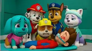 No Way...! Please Wake Up RYDER?? | PAW Patrol Funny Animation | Rainbow 3