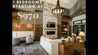 South Austin, Texas apartment listing
