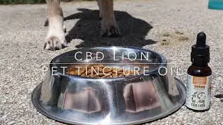 CBD LION Pet Tincture