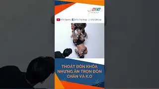Đ&ograve;n knockout kỹ thuật của v&otilde; sĩ M&ocirc;ng Cổ