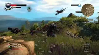 The Witcher 3: Hearts of Stone - Draconid Nest Destroyed: Forktail Levl 30 Fight (Bombs, Quen) 1080p