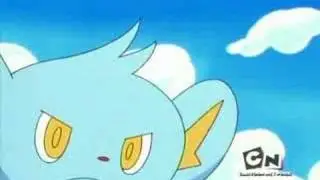 Shinx