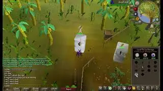 W45 DMM 2021