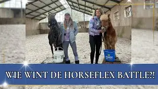 DE MINI PONY BATTLE!🦄 | PaardenpraatTV
