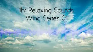 Relaxing Sounds 1hr Dune Winds | Loop Organic