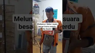 pengiriman perkutut bangkok 3ekor suara besar ke kung mania kediri #kungmaniaindonesia