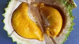 Explore Malaysia - 😛😛Port Dickson Vlog