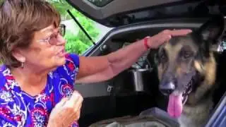 2016 American Humane Hero Dog Awards - Search and Rescue Dog Category &ndash; Kobuk