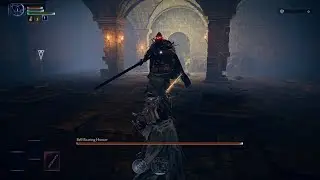 Level 1 Executor vs Bell Bearing Hunter No Damage   Elden Ring Nightreign