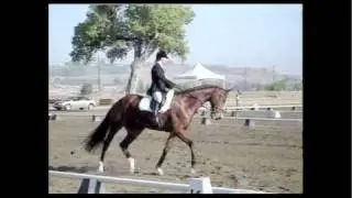 Become An Eventing Coach With My5MinuteCoach.com