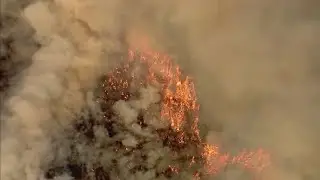 Arizona wildfire season off to early start | FOX 10 News