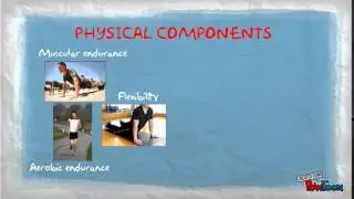 Physical and Skill-related Components of Fitness