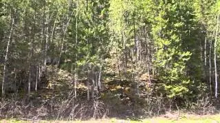 Steep bank.