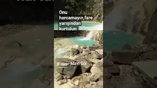 Anı yaşıyorum keyfini &ccedil;ıkarıyorum🎊🪅😉😊Yer, i&ccedil;er,gezer tozar keyfime bakarım😎