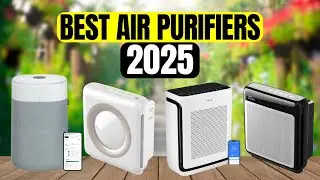 The 5 Best Air Purifiers to Buy in 2025