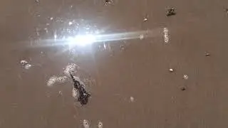 بحر سيدي سحاق شياظمة (الطريق الساحلية الرابطة بين اسفي صويرة)