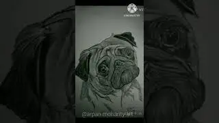 #pug#dog#shorts#share #subscribe#short #shortvideo#viralshorts #viral #viralvideo#video #sketch#like