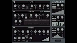 Grandad Jr. - Granular and Delay Multi-FX pt2